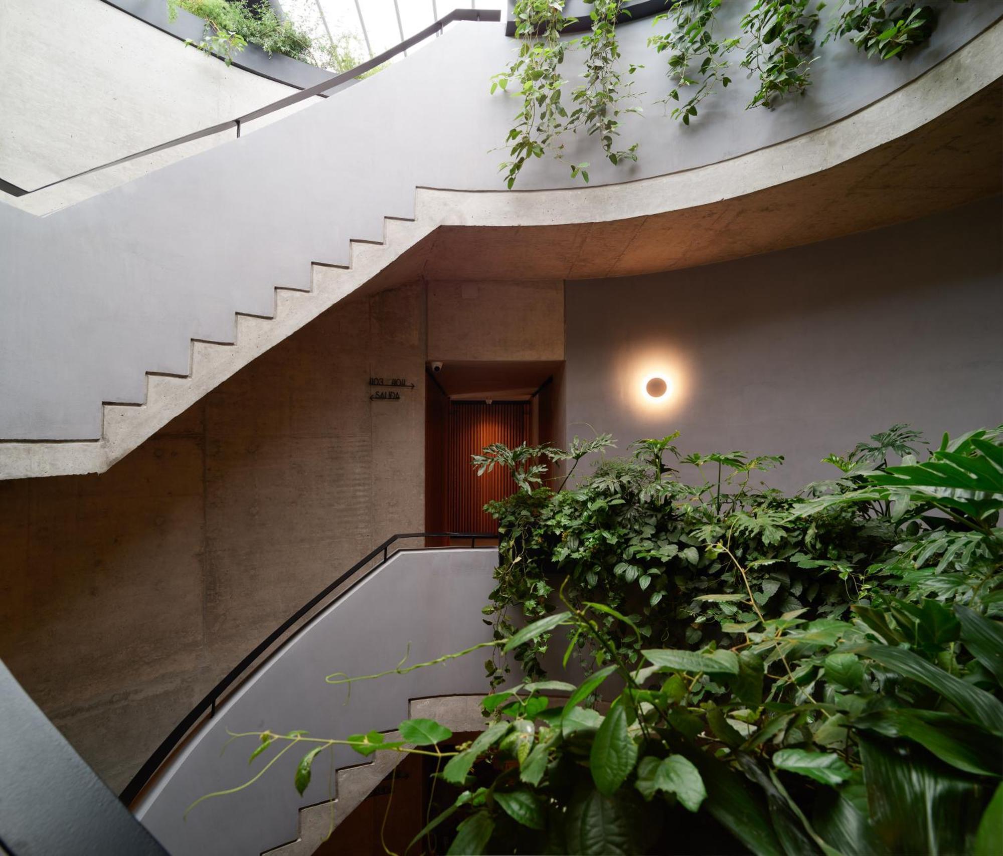 Maison Mexico Roma Ngoại thất bức ảnh